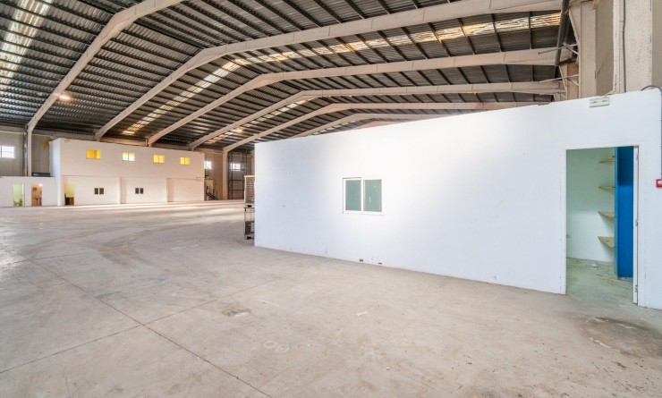 Location longue durée - Industrial unit - Pilar de la Horadada - Polígono industrial Cañada de Práez