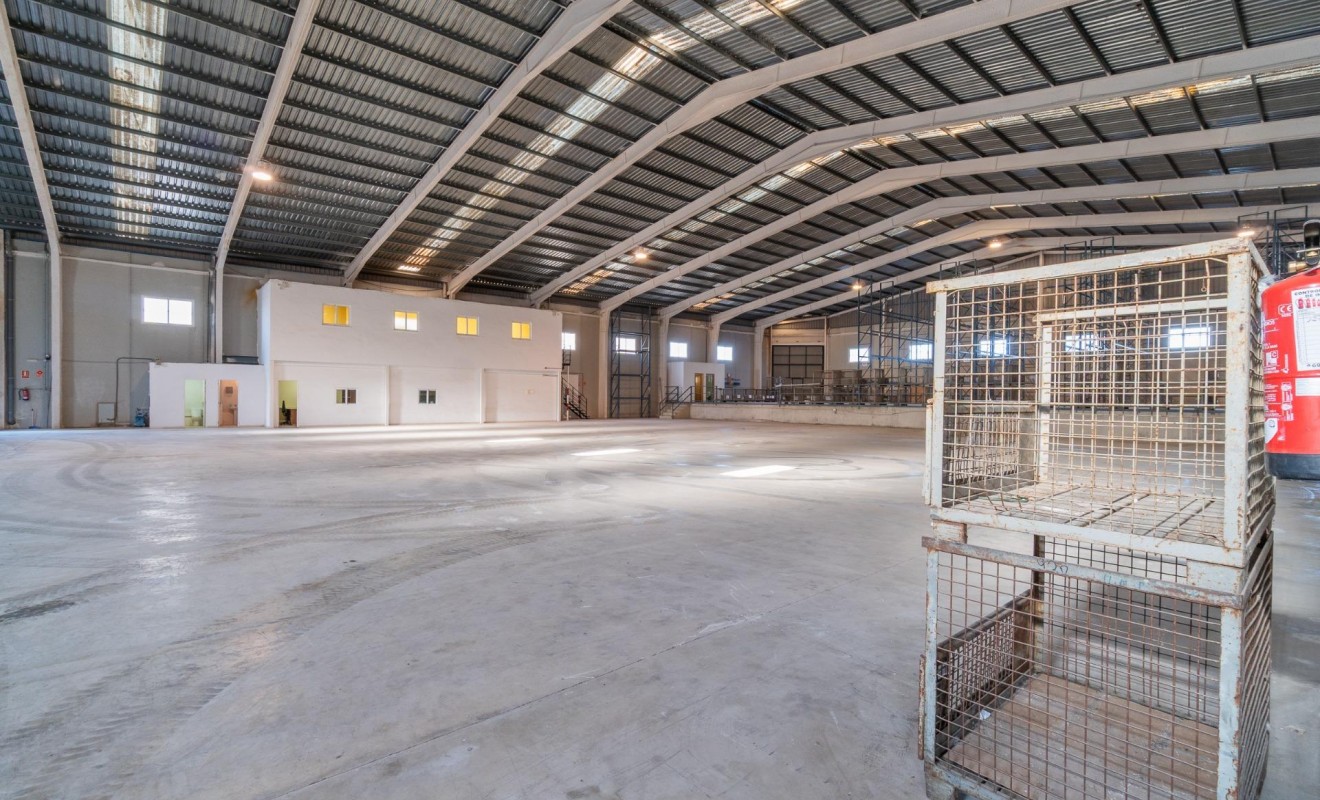 Location longue durée - Industrial unit - Pilar de la Horadada - Polígono industrial Cañada de Práez