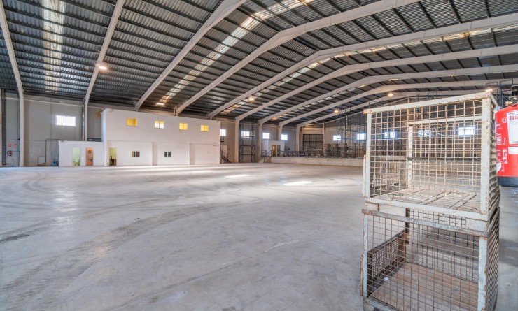 Location longue durée - Industrial unit - Pilar de la Horadada - Polígono industrial Cañada de Práez