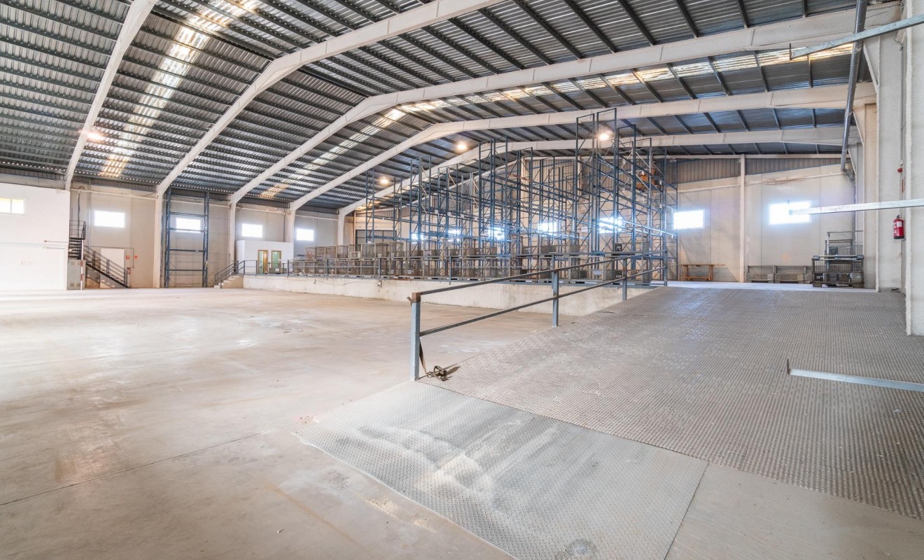 Location longue durée - Industrial unit - Pilar de la Horadada - Polígono industrial Cañada de Práez