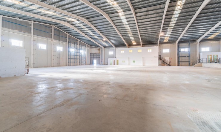 Location longue durée - Industrial unit - Pilar de la Horadada - Polígono industrial Cañada de Práez