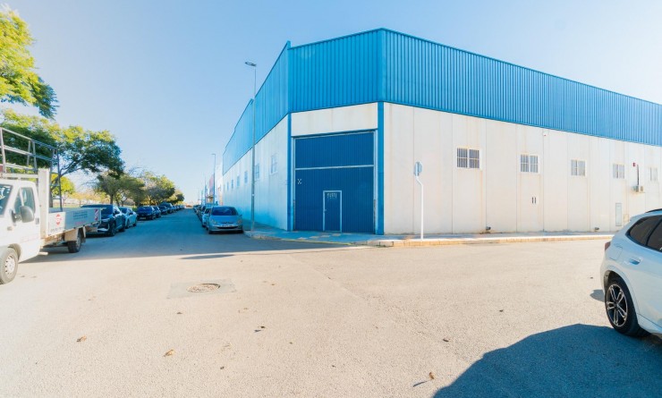 Location longue durée - Industrial unit - Pilar de la Horadada - Polígono industrial Cañada de Práez