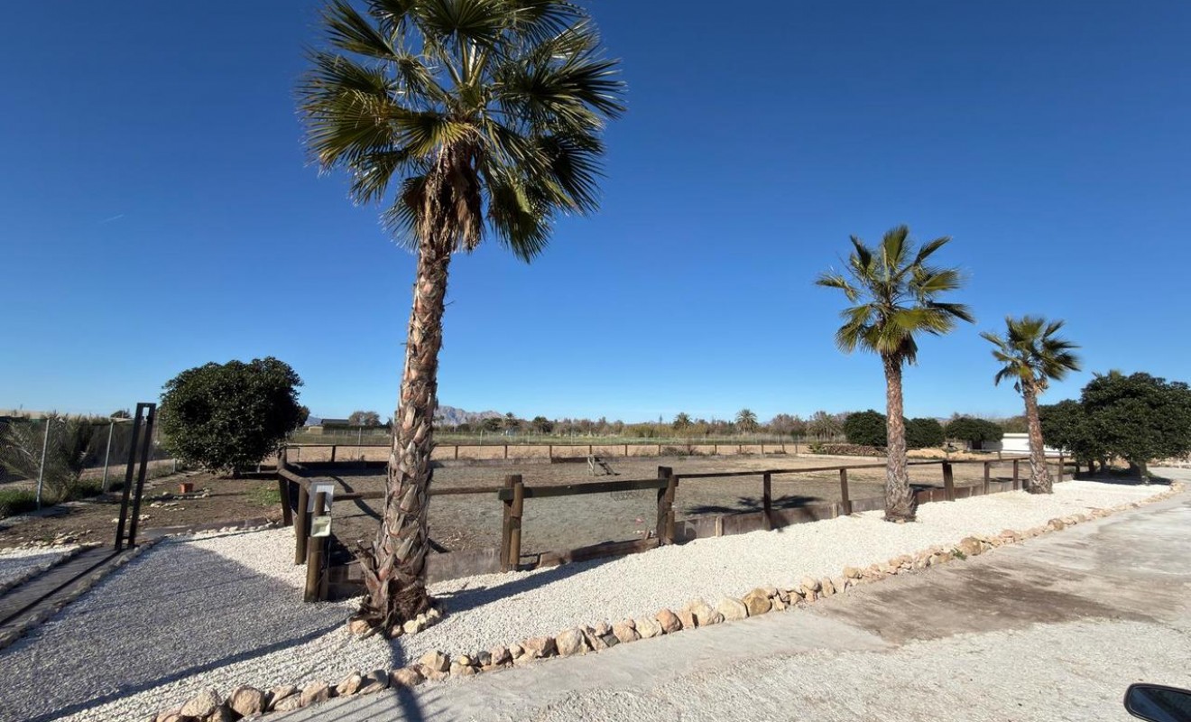 Revente - Plot - Algorfa