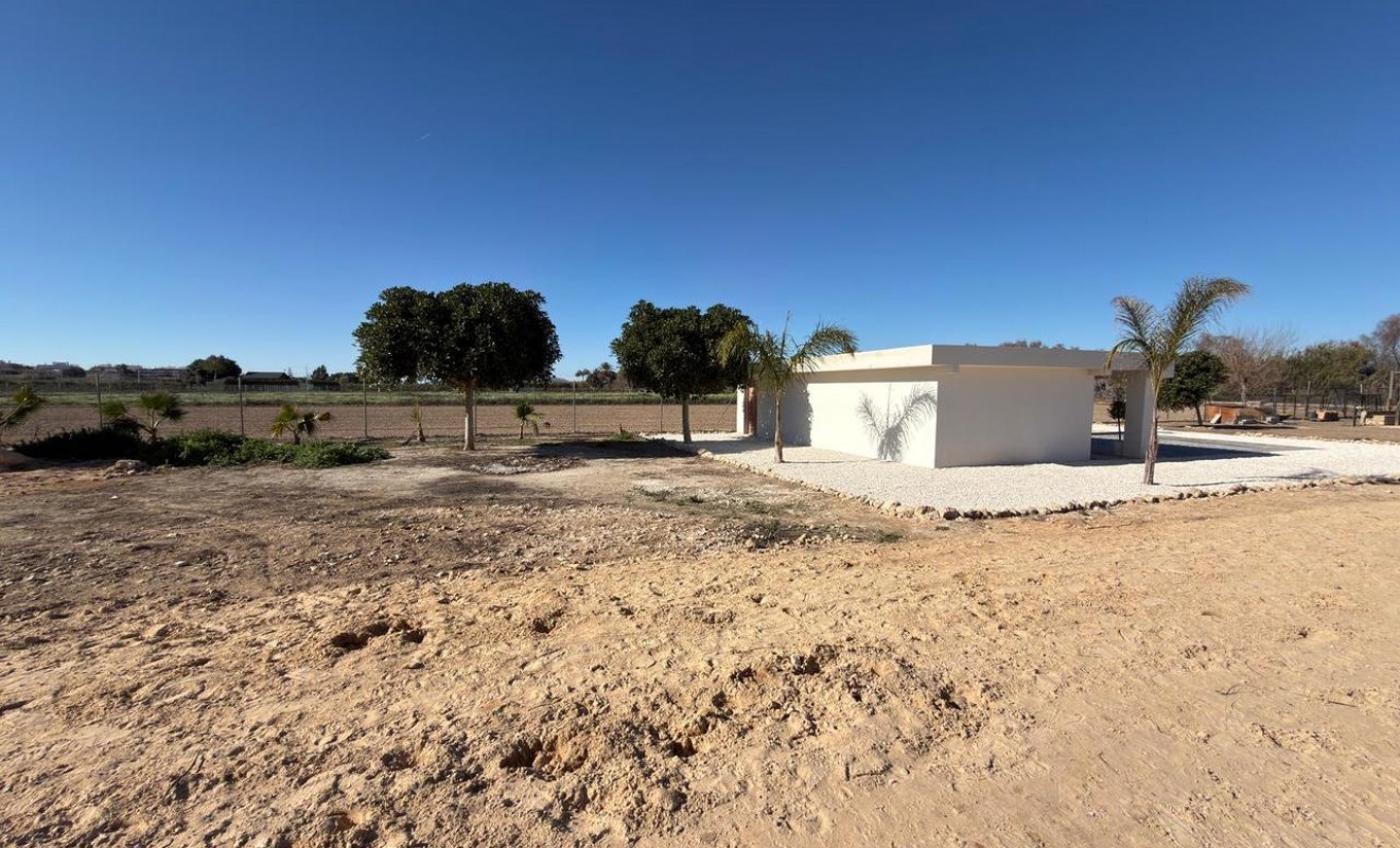 Revente - Plot - Algorfa