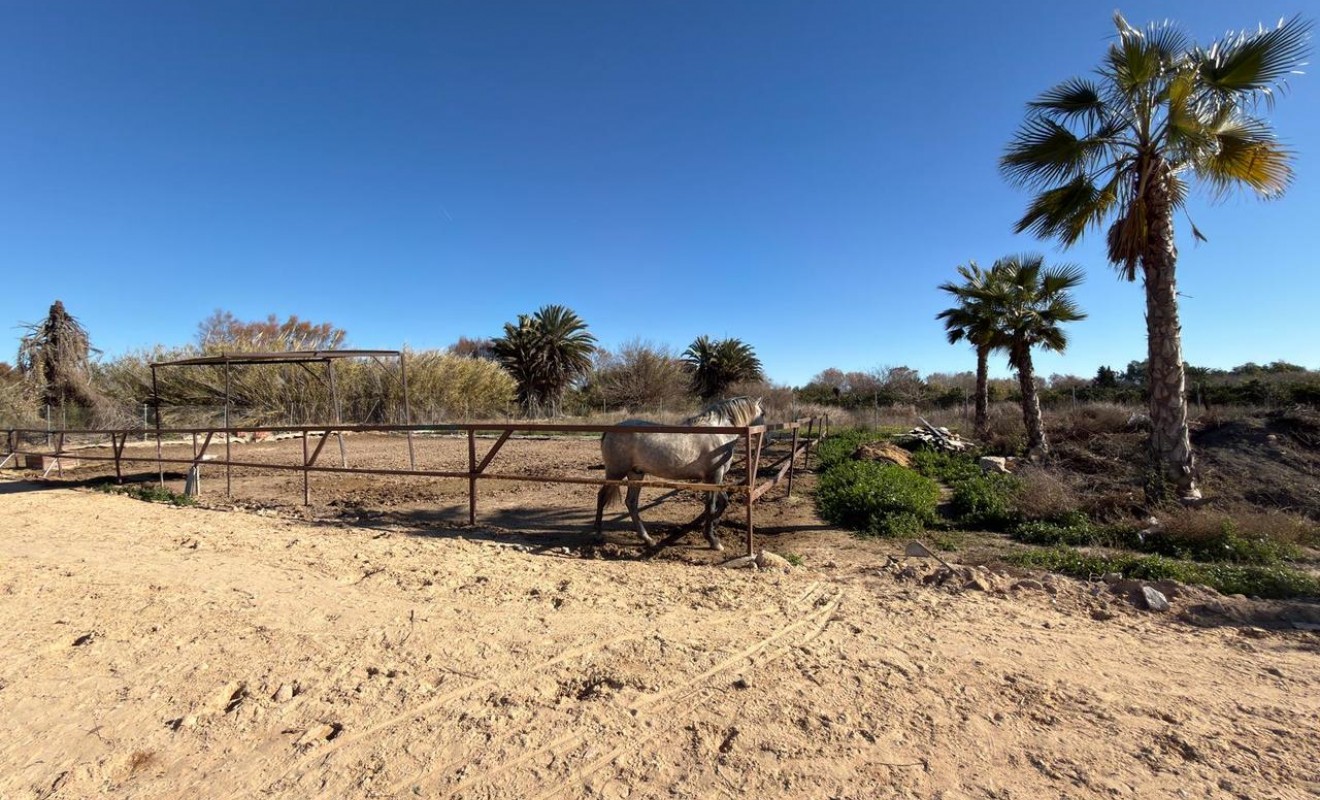 Revente - Plot - Algorfa