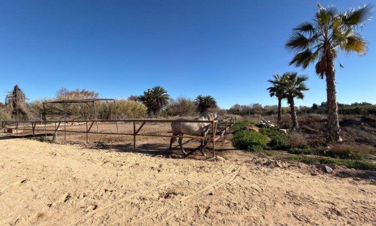 Revente - Plot - Algorfa