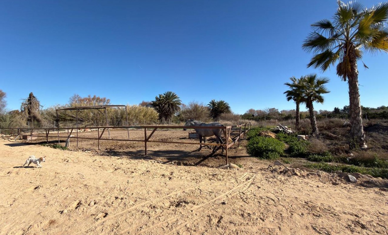 Revente - Plot - Algorfa