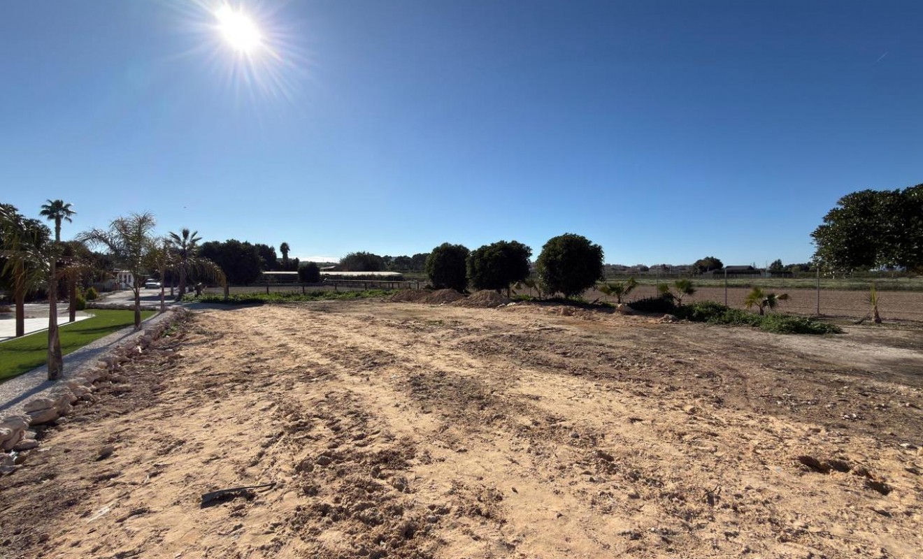 Revente - Plot - Algorfa