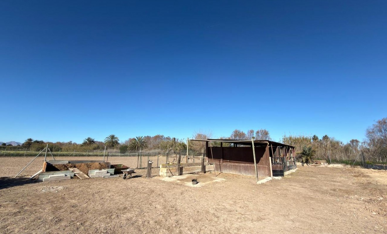 Revente - Plot - Algorfa