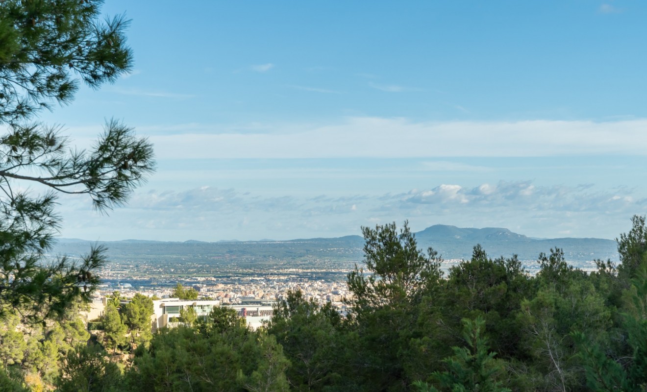 Nouvelle construction - Villa - Palma de Mallorca - Mallorca