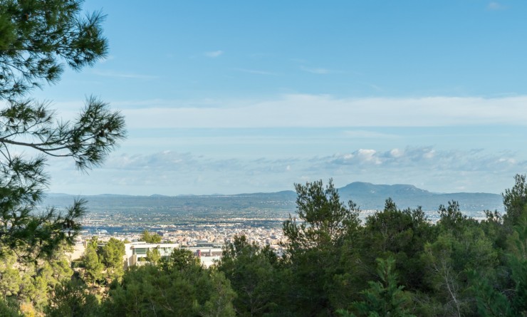 Nouvelle construction - Villa - Palma de Mallorca - Mallorca