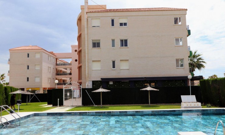 Revente - Apartamento - Torrevieja - Playa Flamenca