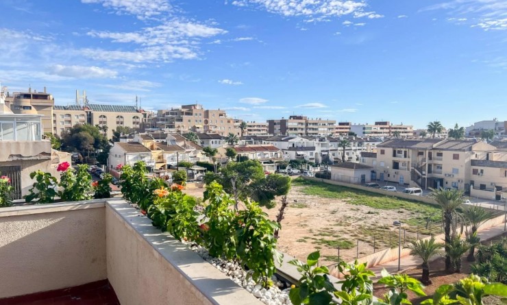 Wederverkoop - Apartamento - Torrevieja - Punta prima