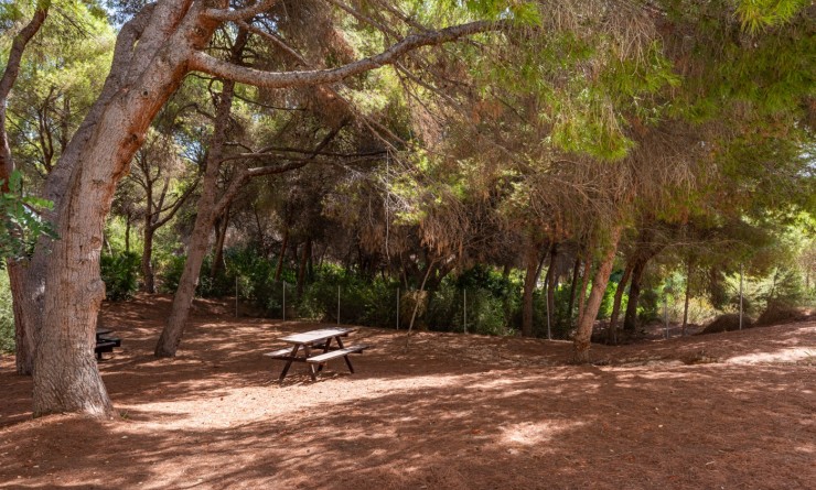 Wederverkoop - 1. Apartment / flat - Alicante - Campoamor