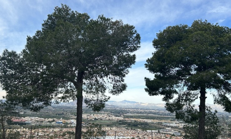 Wederverkoop - Appartement - Ciudad quesada