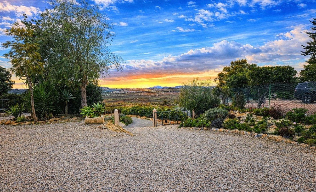 Wederverkoop - Villa - Torremendo