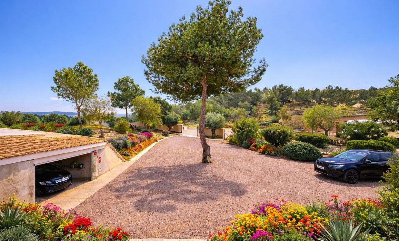 Wederverkoop - Villa - Torremendo