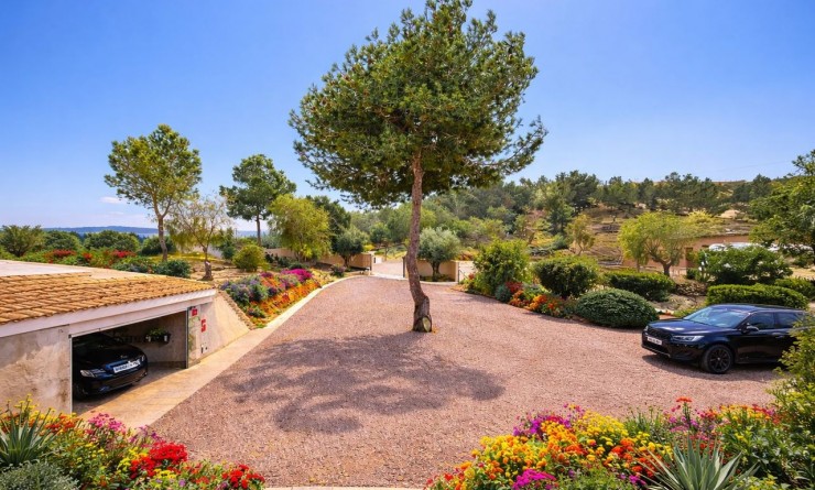 Wederverkoop - Villa - Torremendo