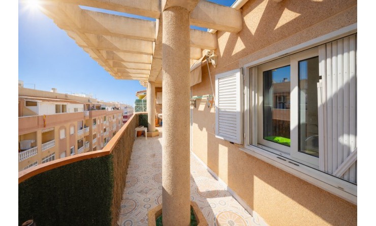 Wederverkoop - Apartamento - Torrevieja - Parque de las Naciones