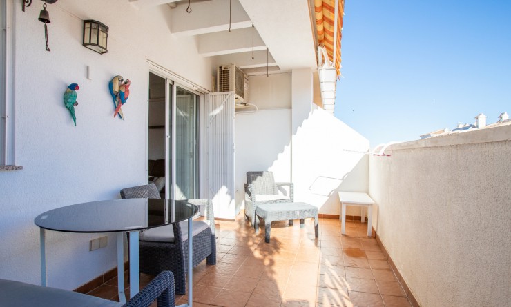 Revente - Apartment - Top Floor Apartment - Torrevieja - torrevieja