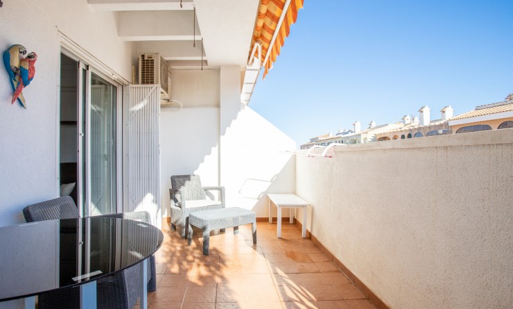 Revente - Apartment - Top Floor Apartment - Torrevieja - torrevieja