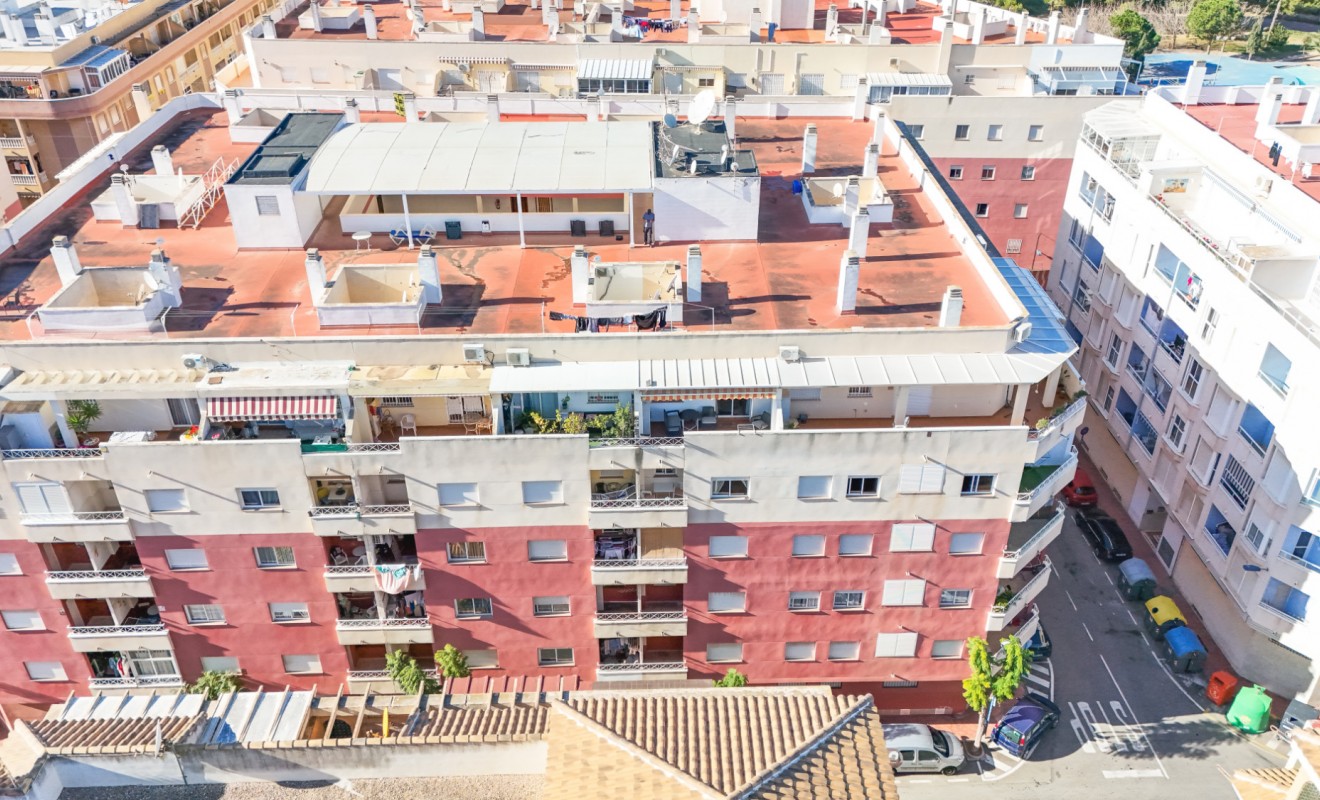 Revente - Apartment - Top Floor Apartment - Torrevieja - torrevieja