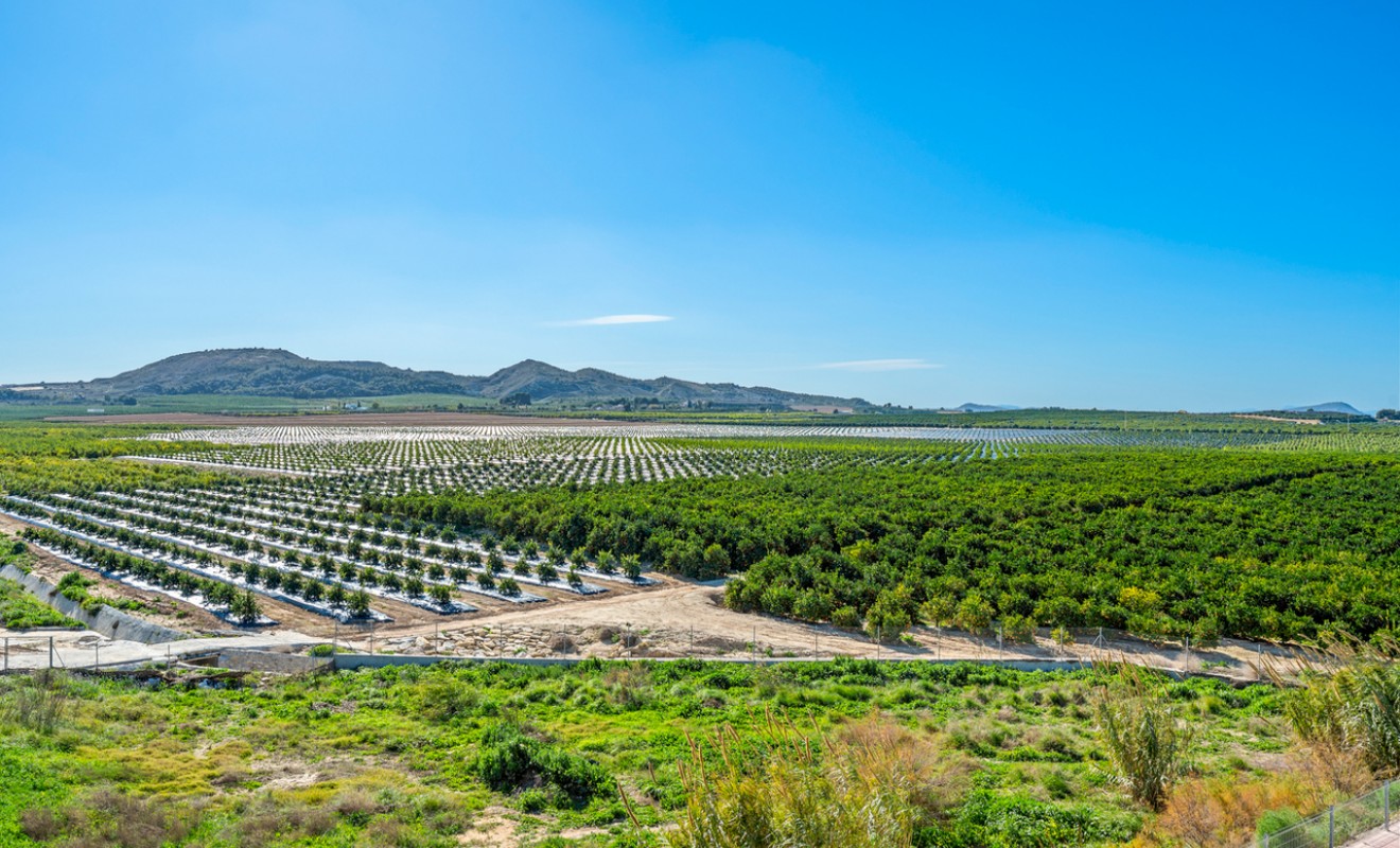 Revente - Appartement - Algorfa