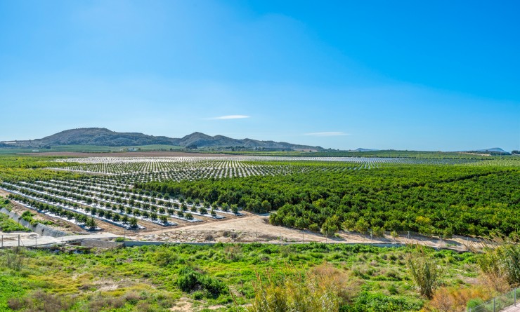 Revente - Appartement - Algorfa