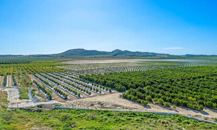 Revente - Appartement - Algorfa