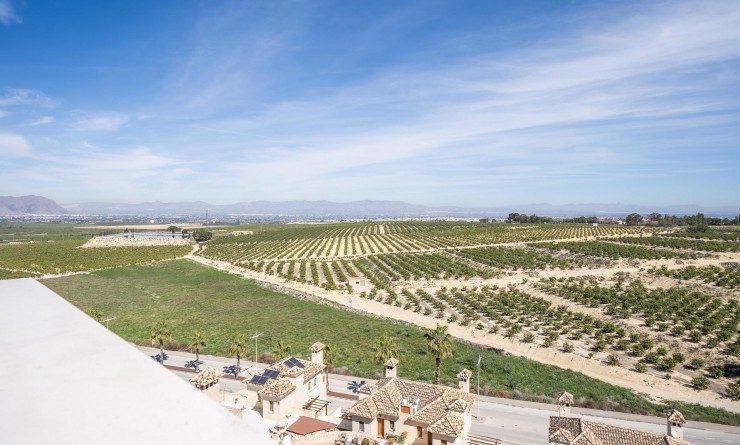 Nieuwbouw woningen - Villa - Algorfa - La finca golf