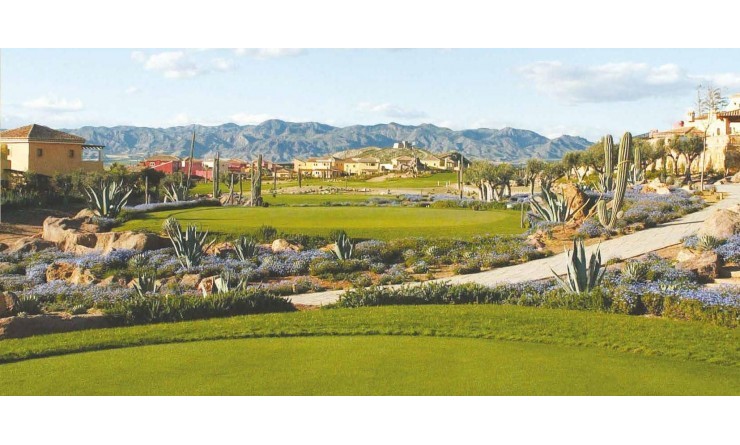 Nieuwbouw woningen - Villa - Cuevas Del Almanzora - Desert Springs Golf Club