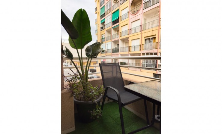 Sale - Apartment - Torrevieja