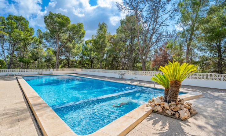 Revente - Appartement - La Nucía