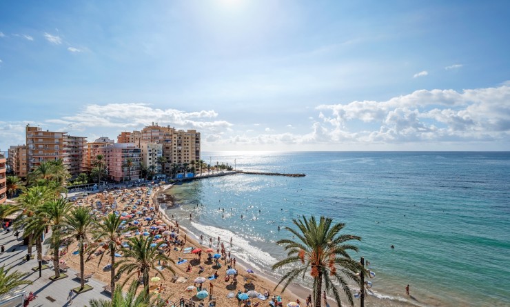 Revente - Appartement - Torrevieja - torrevieja