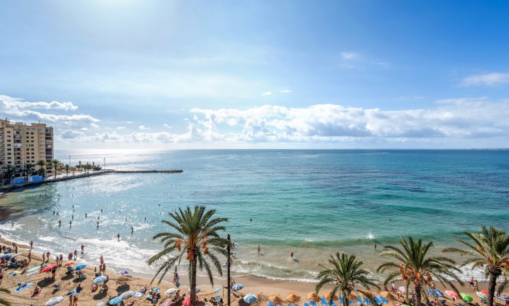 Revente - Appartement - Torrevieja - torrevieja