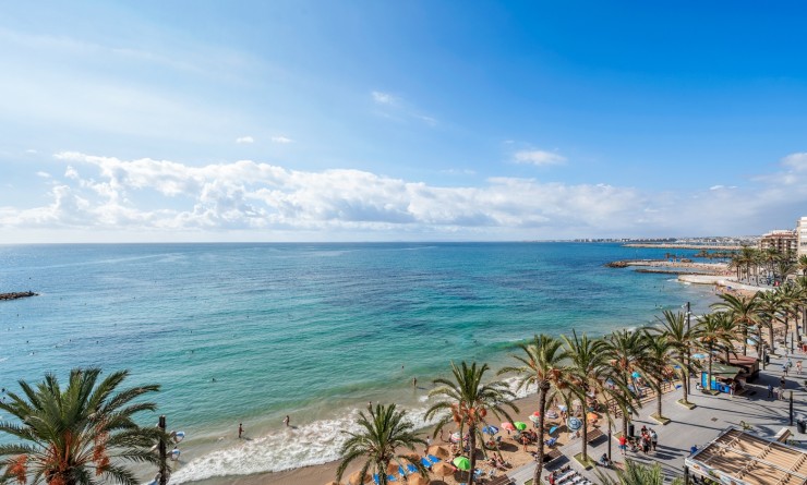 Revente - Appartement - Torrevieja - torrevieja