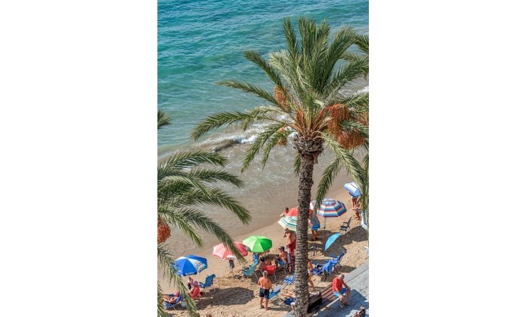 Revente - Appartement - Torrevieja - torrevieja