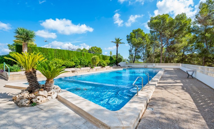 Wederverkoop - Appartement - La Nucía