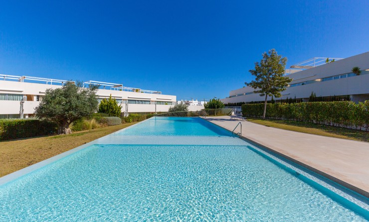 Wederverkoop - Penthouse - Torrevieja - Los balcones