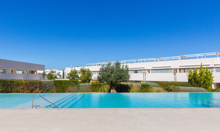 Wederverkoop - Penthouse - Torrevieja - Los balcones