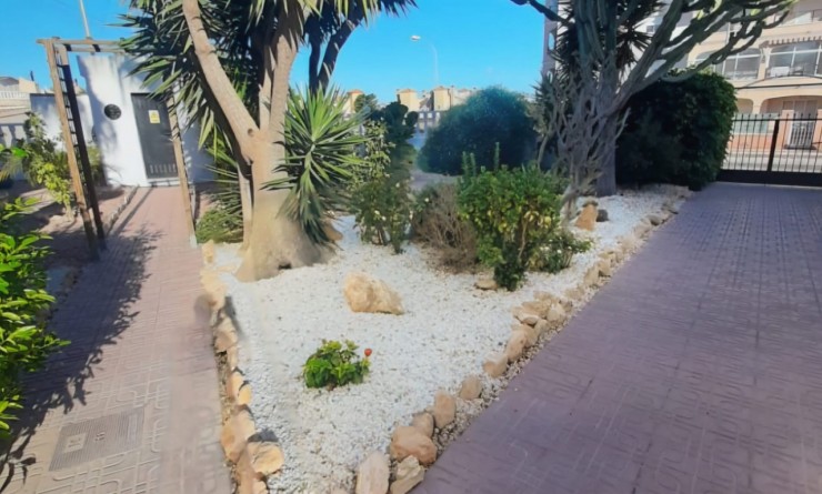 Revente - Duplex - Playa Flamenca