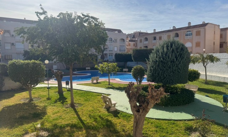 Wederverkoop - Apartamento - Torrevieja - Playa del Acequión