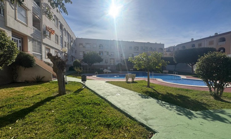 Wederverkoop - Apartamento - Torrevieja - Playa del Acequión