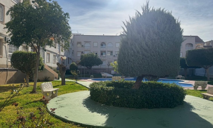 Wederverkoop - Apartamento - Torrevieja - Playa del Acequión