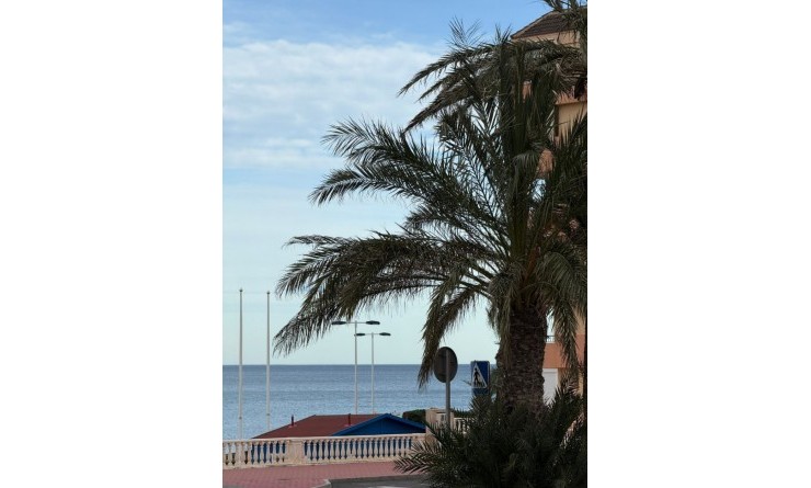Sale - Flat - Torrevieja - Cabo cervera