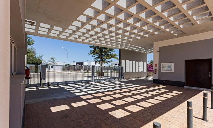 Nieuwbouw woningen - Penthouse - Vera - El Playazo