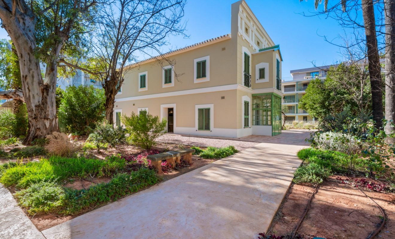 Wederverkoop - Penthouse - Denia - Puerto