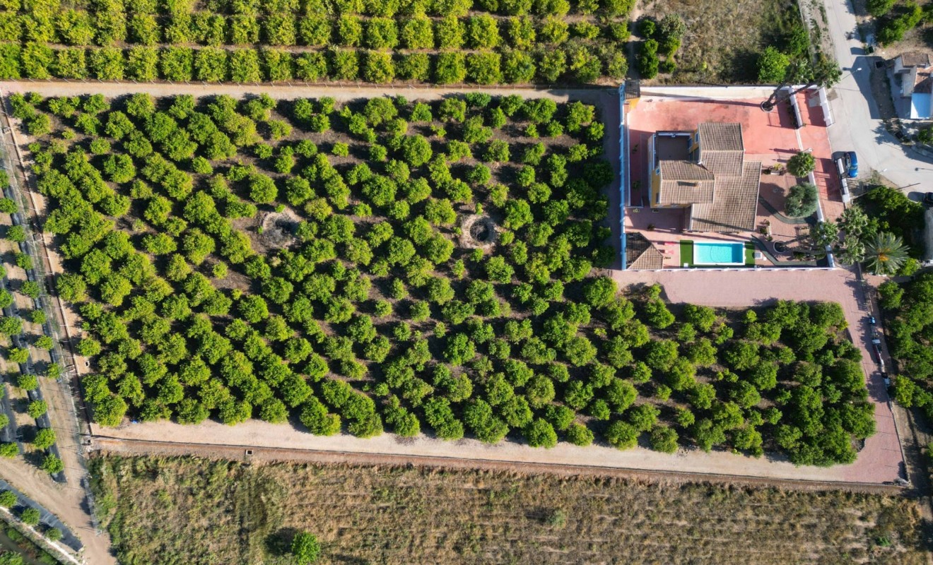 Wederverkoop - Finca / Country Property - Orihuela