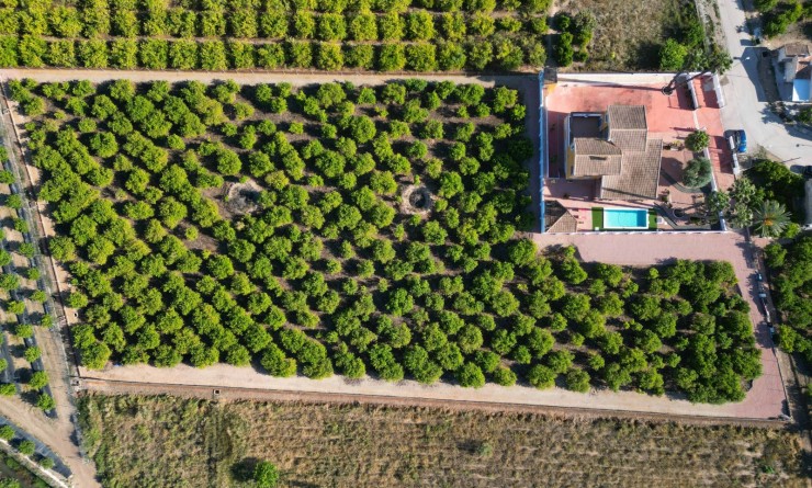 Wederverkoop - Finca / Country Property - Orihuela