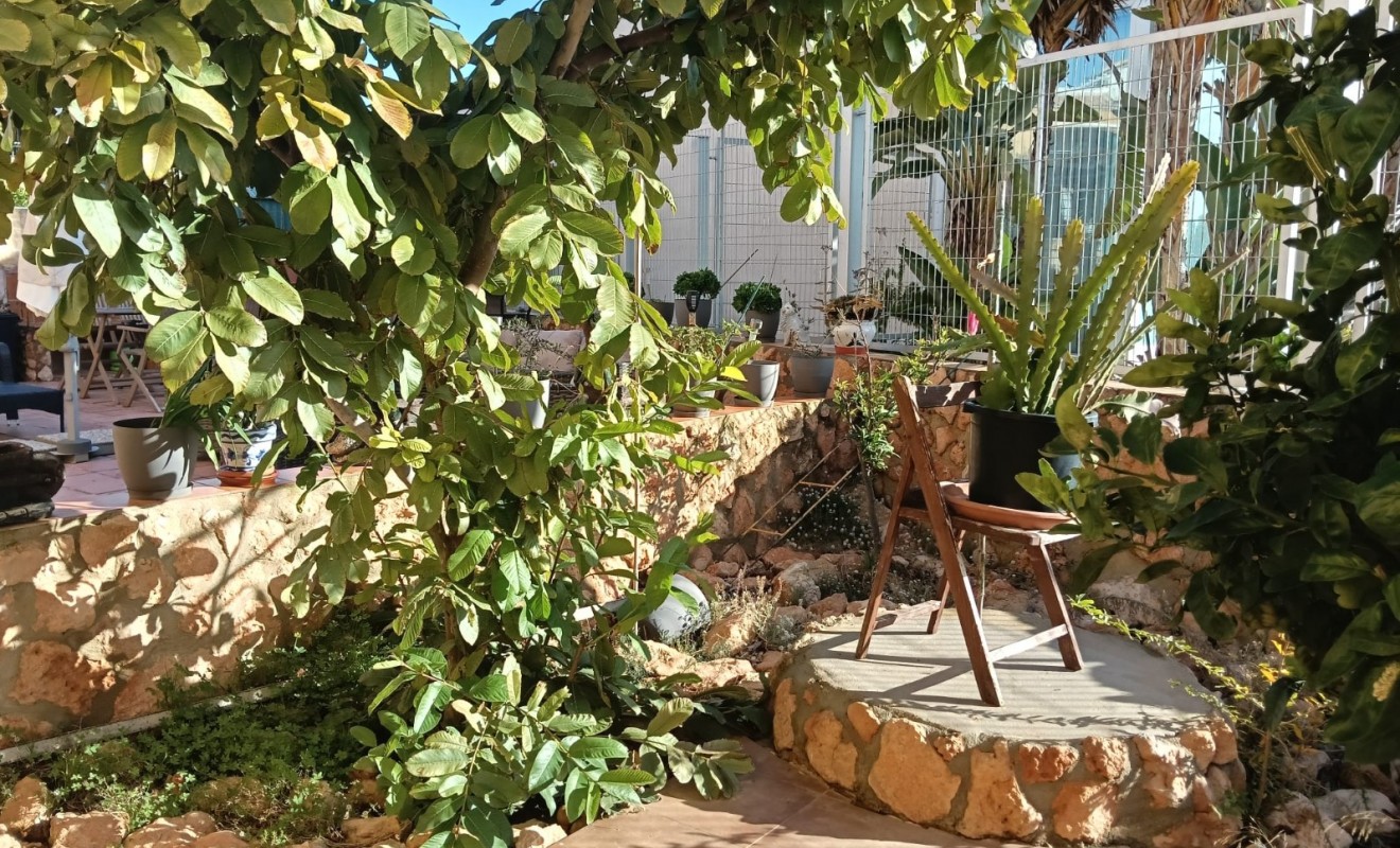 Revente - Apartment flat - Los Montesinos - La herrada